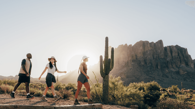 Visit Phoenix image Visit Phoenix image